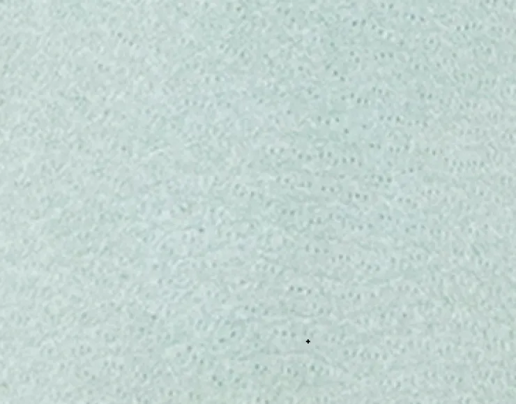 GENTLE SOULS - Sienna Fish Net Mary Jane Espadrille>Kenneth Cole Online
