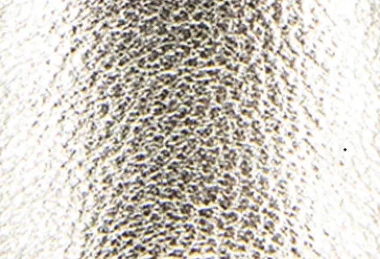 GENTLE SOULS - Sienna Metallic Fish Net Mary Jane Espadrille>Kenneth Cole Discount