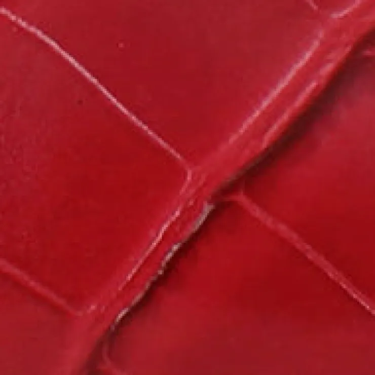 Meilani Embossed Croco Point Toe Slingback>Kenneth Cole Best