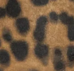 Meryl Suede Leopard Bootie><noscript><img width=