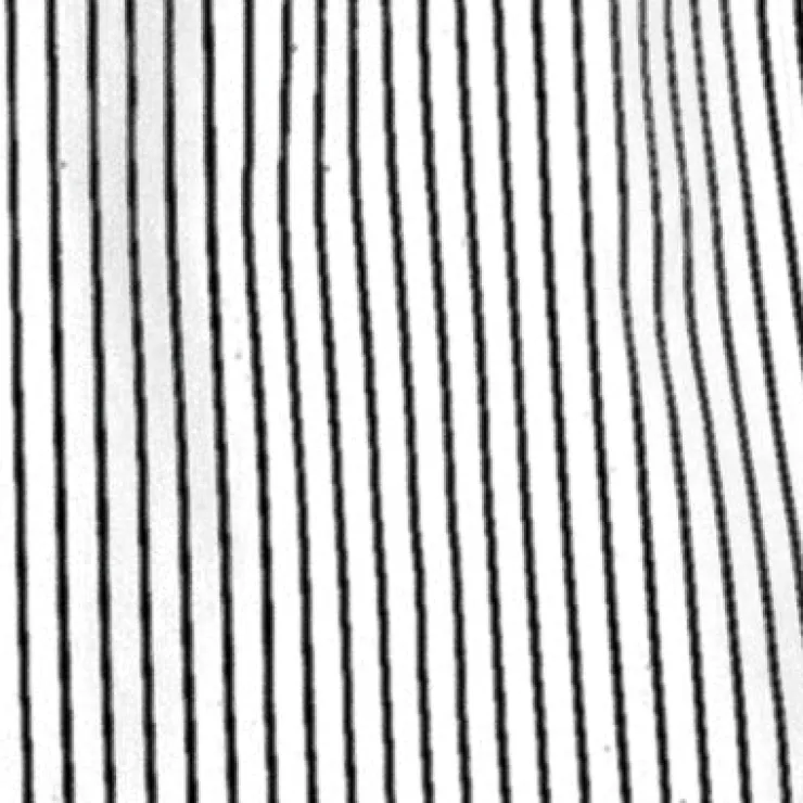 Stripe Poplin Button Front Shirt>Kenneth Cole Outlet